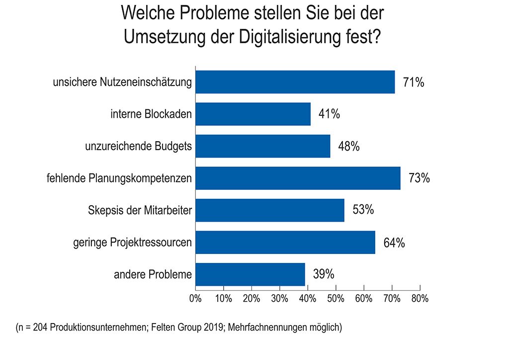 Welche Probleme stellen Sie bei der Umsetzung der Digitalisierung fest?