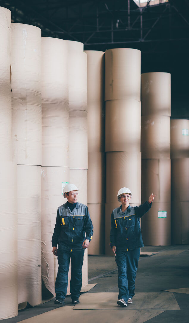 at a paper mill factory